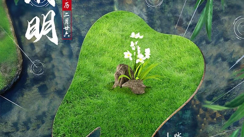 洗牙后牙龈出血，如何正确应对与预防？**